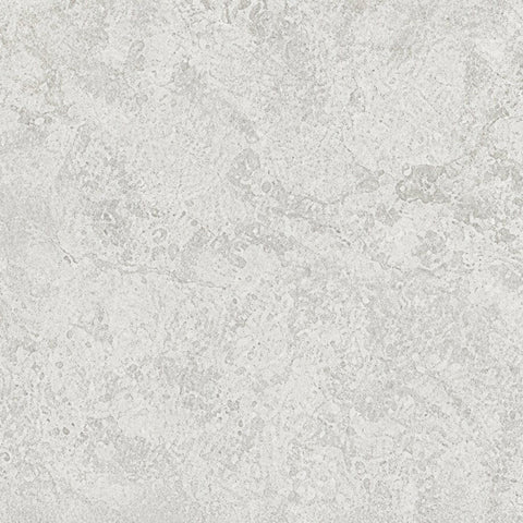 Coral Stone Light Grey